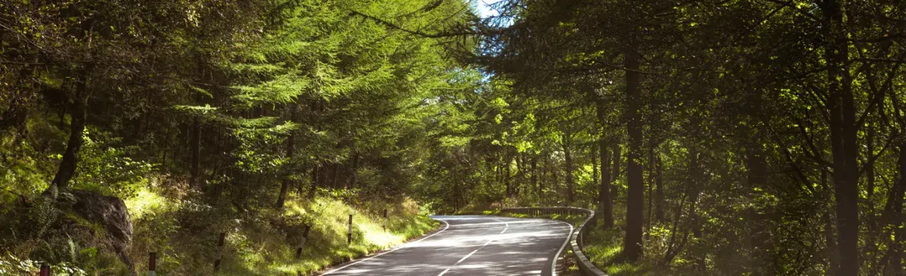Winding UK country road