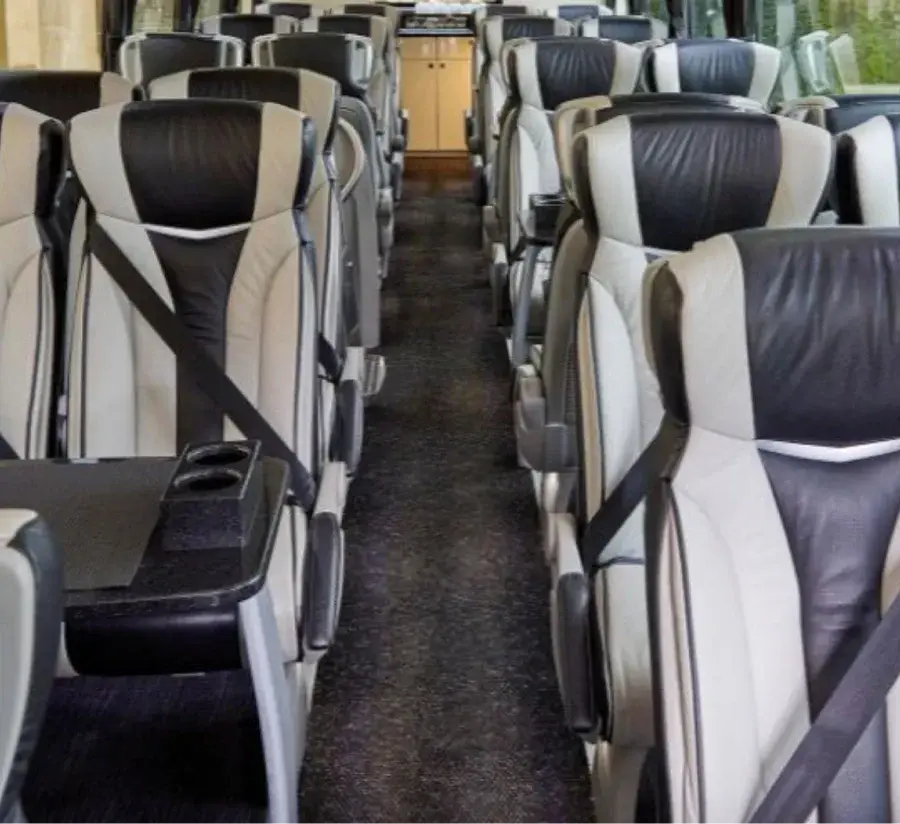 Coach seats